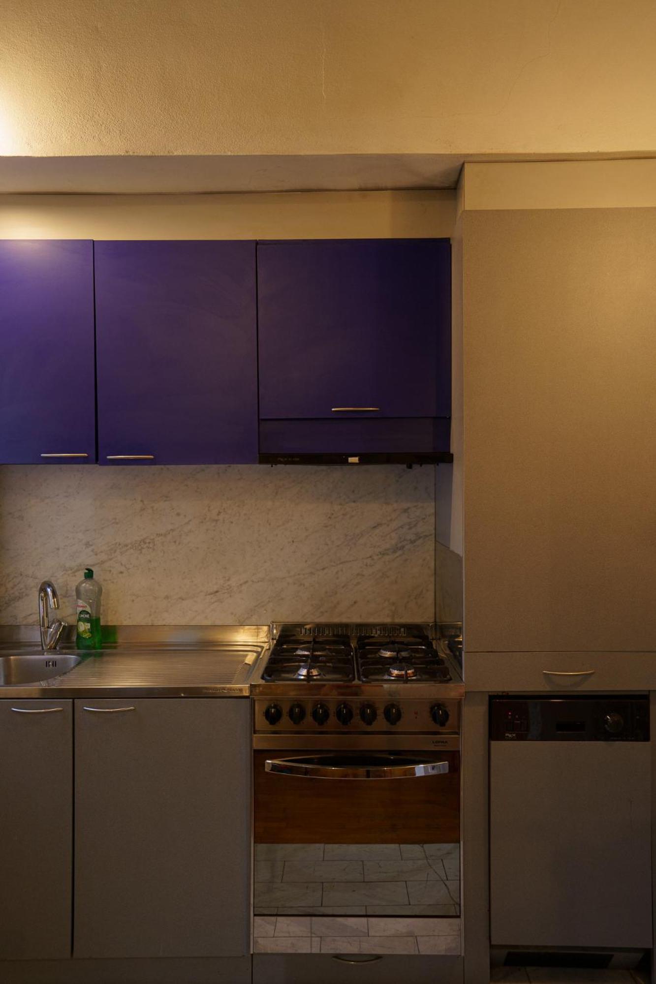 Lovely & Quite One Bedroom Near Piazza Santo Spirito Florence Ngoại thất bức ảnh